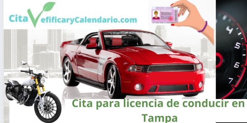¿Cómo sacar cita para licencia de conducir en Tampa?